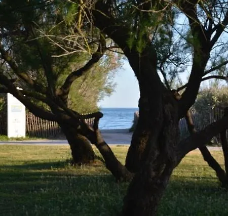 Aux Jardins Du Vidourle - 3 Min A Pied De La Plage, Parking, Clim & Wi-fi Апартаменты *
