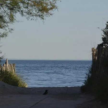 Aux Jardins Du Vidourle - 3 Min A Pied De La Plage, Parking, Clim & Wi-fi Апартаменты *