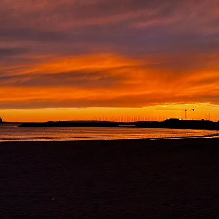 Aux Jardins Du Vidourle - 3 Min A Pied De La Plage, Parking, Clim & Wi-fi Apartment *